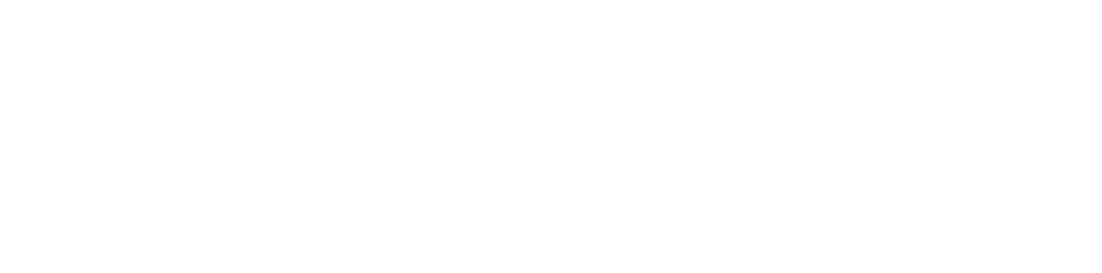 SalonFlow Main Logo Light
